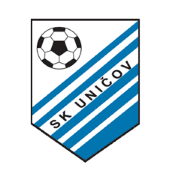 维迪卡瓦斯